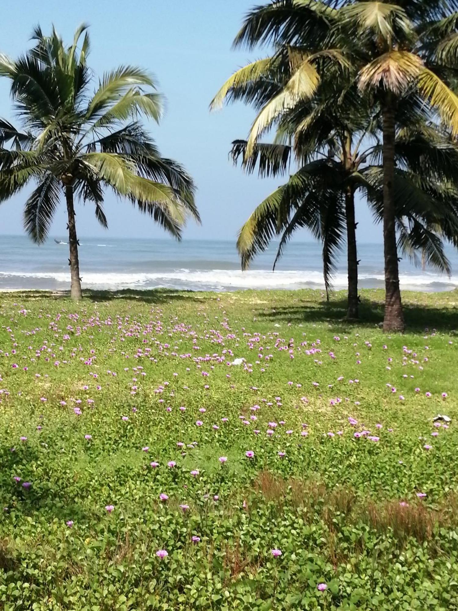 Ocean Whisper- Psst! Hidden Gem Villa Karuvapadna Ngoại thất bức ảnh